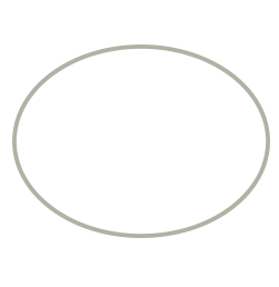 ellipse